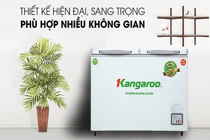 Tủ đông là gì? Có bao nhiêu loại? Nên mua loại nào thì phù hợp?