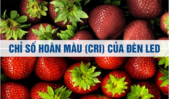 Chỉ số CRI là gì? CRI ảnh hưởng thế nào đối với ánh sáng của bóng đèn