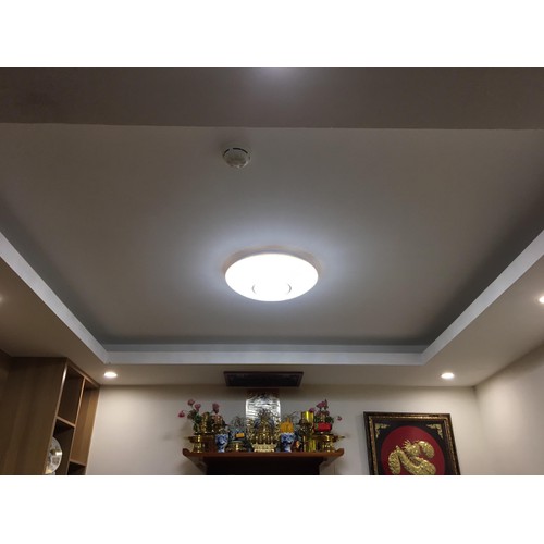 Đèn Led ốp trần Rạng Đông D LN14L 