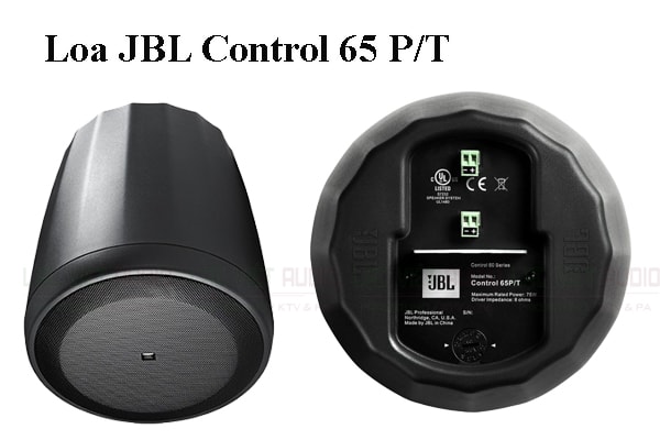 Loa JBL Control 65P/T