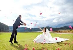 Áo cưới ngắn ngày hè cho cô dâu thêm xinh