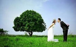 Chụp ảnh cưới đẹp tại Hà Nội ở vườn nhãn Vĩnh Tuy