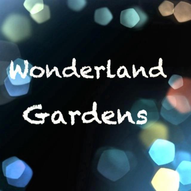Chụp sảnh cưới tại xử sở thần tiên và cổ tích phim trường Wonderland Gardens