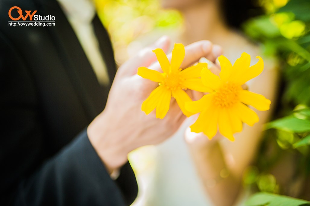 Chụp Ảnh Cưới Nội Thành Hà Nội tại 3 địa điểm đẹp mê hoặc