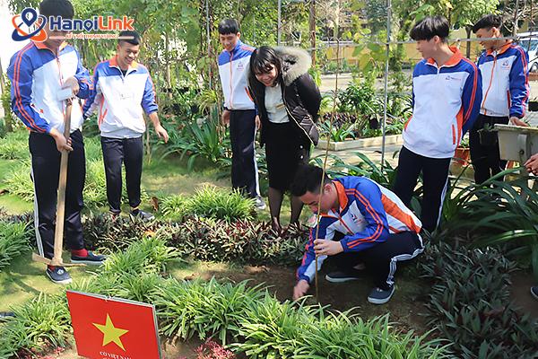 Tết trồng cây tại HanoiLink