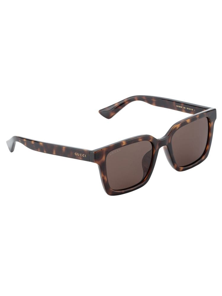 Kính GUCCI TURTLE FRAME HIGH CLASSY AAA