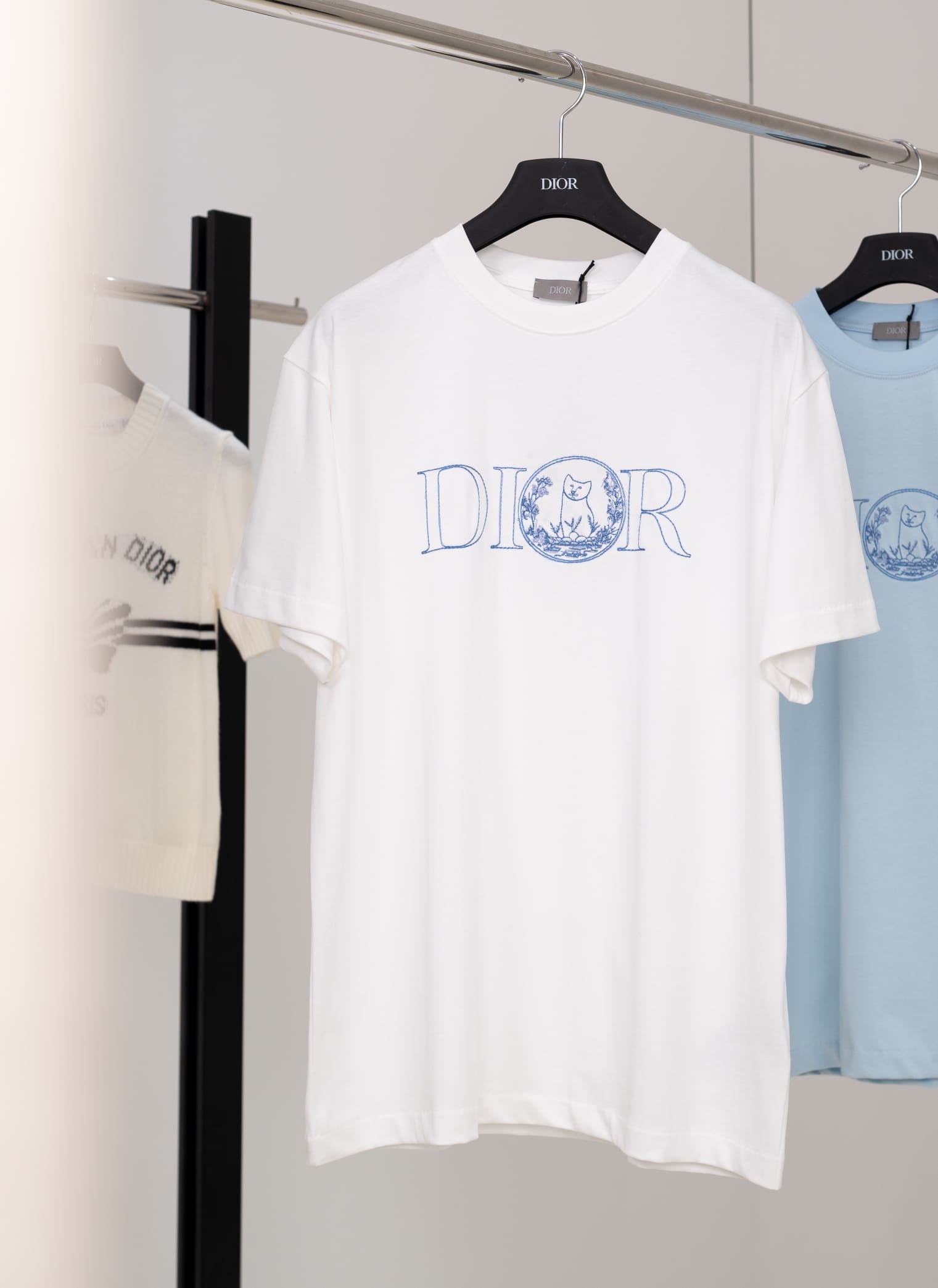 ÁO DIOR T - SHIRT CAT