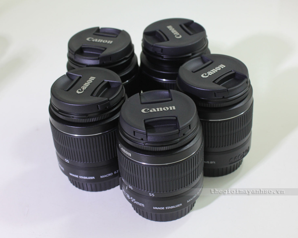 Canon EF-S 18-55mm f/3.5-5.6 IS STM