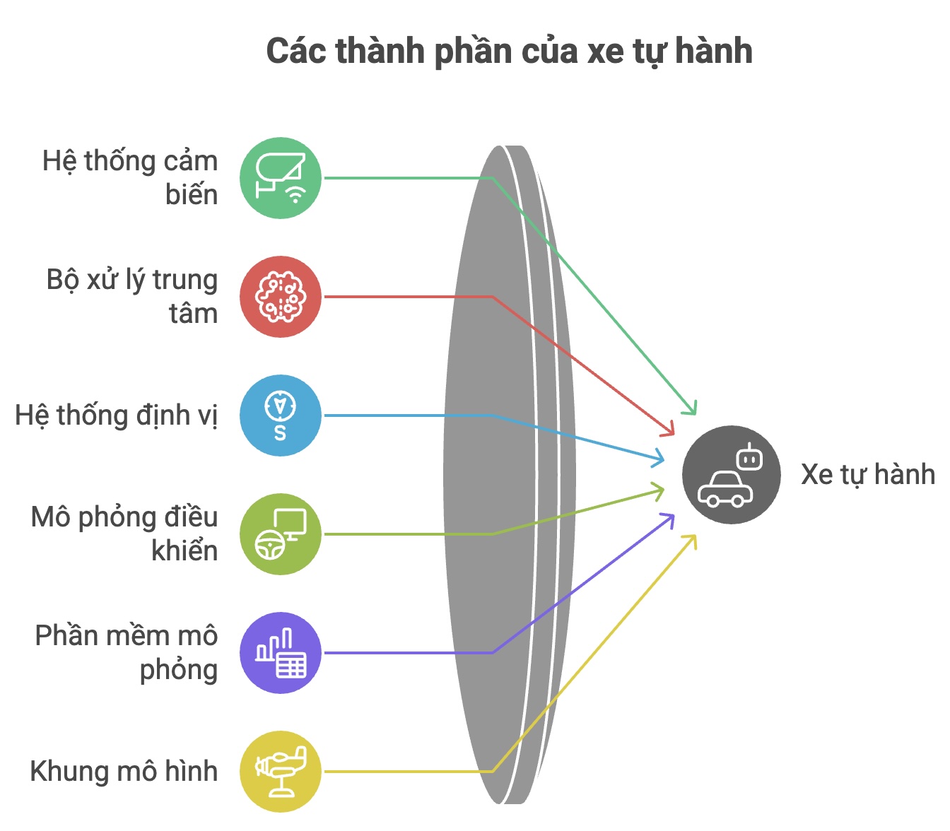 mo hinh dao tao xe tu lai