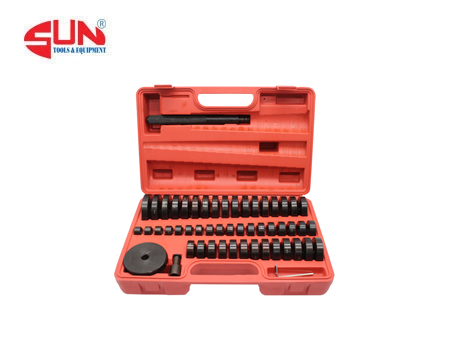 bo-dong-bac-dan-da-nang