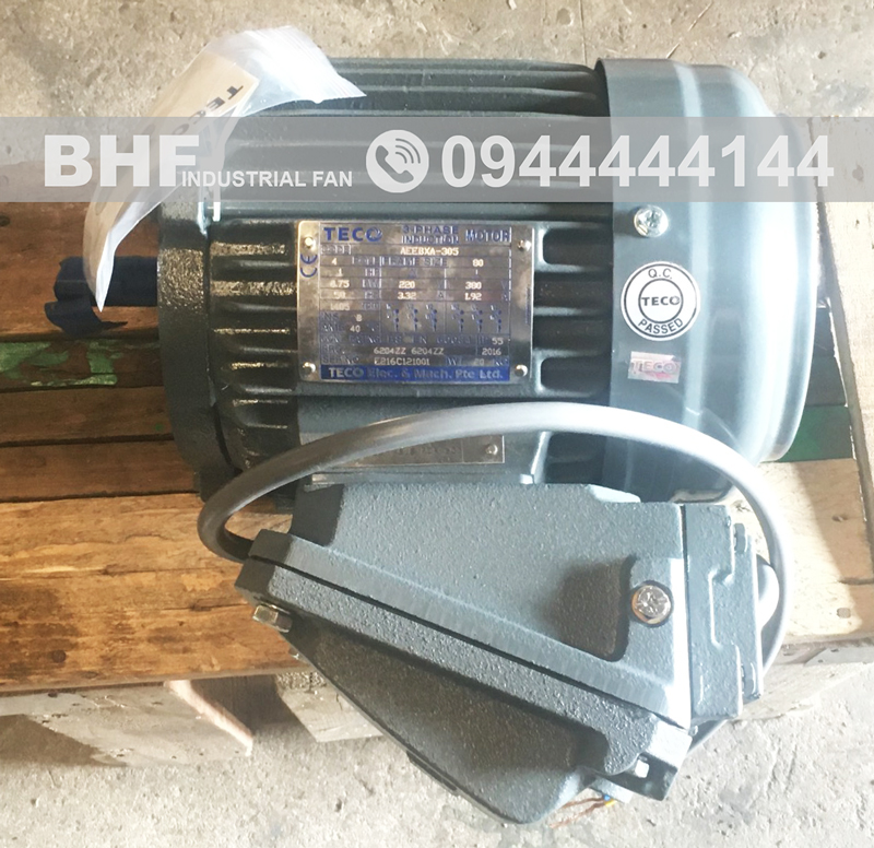 Động cơ phòng nổ an toàn EG3 kí hiệu AEEBXA của hãng Teco