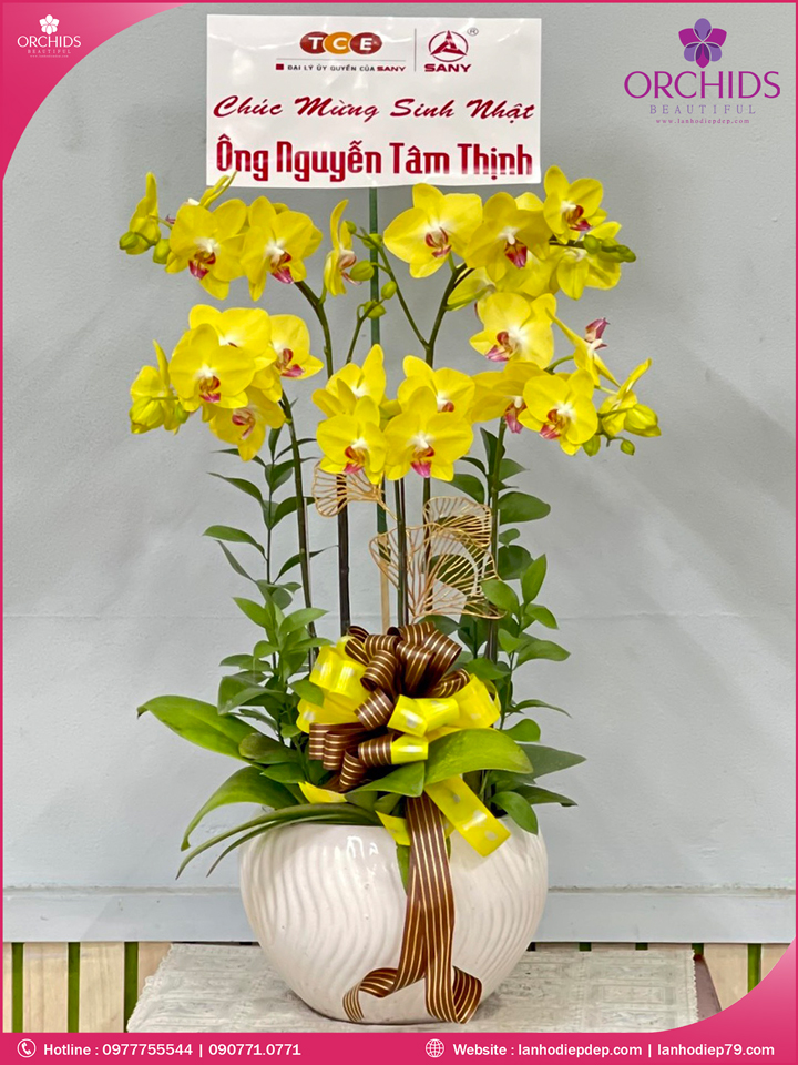 Châu hoa lan hồ điệp vàng 5 cành
