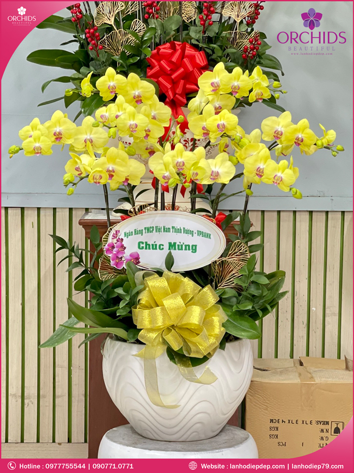Chậu hoa lan hồ điệp vàng 9 cành
