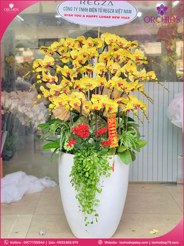 Chậu hoa lan hồ điệp vàng 30 cành V546