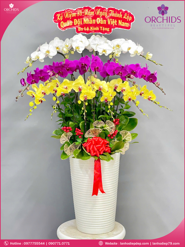 Chậu hoa lan hồ điệp đa sắc 15 cành