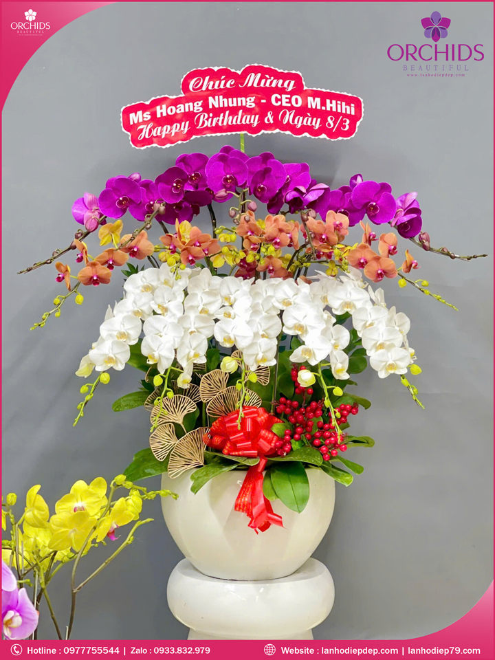 Chậu hoa lan hồ điệp đa sắc 15 cành