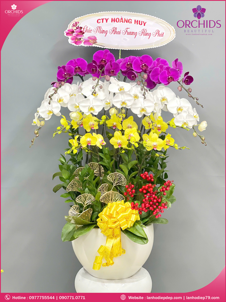 Chậu hoa lan hồ điệp đa sắc 15 cành