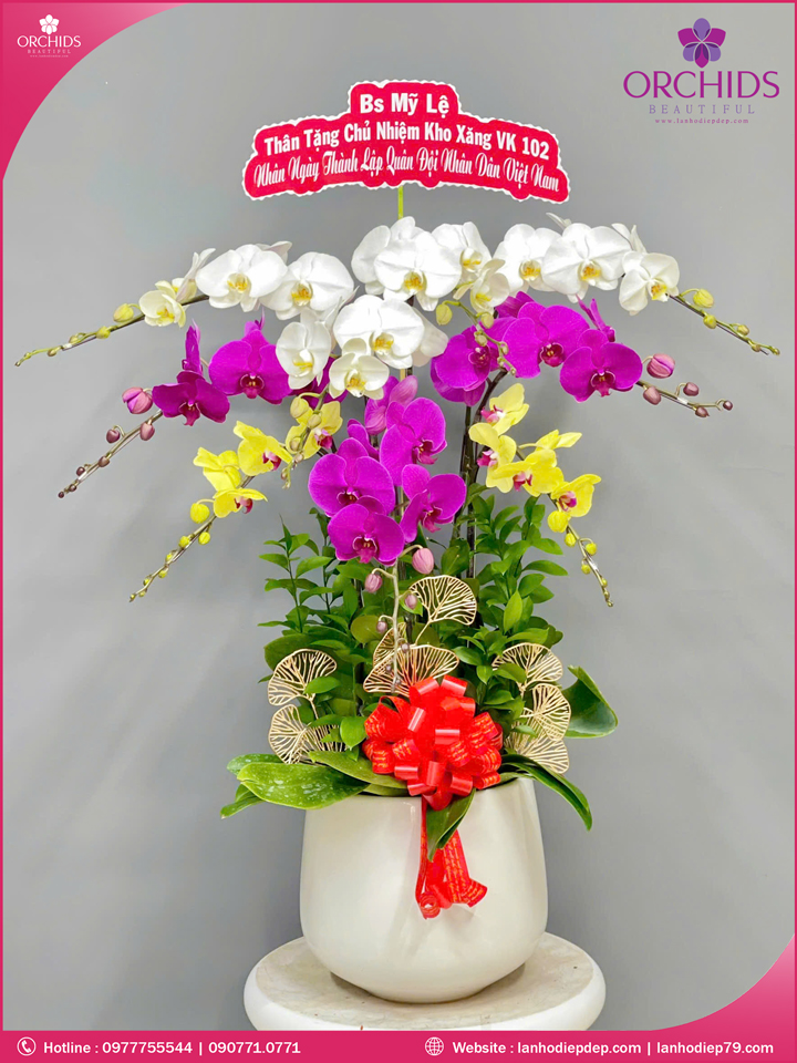Chậu hoa lan hồ điệp đa sắc 9 cành