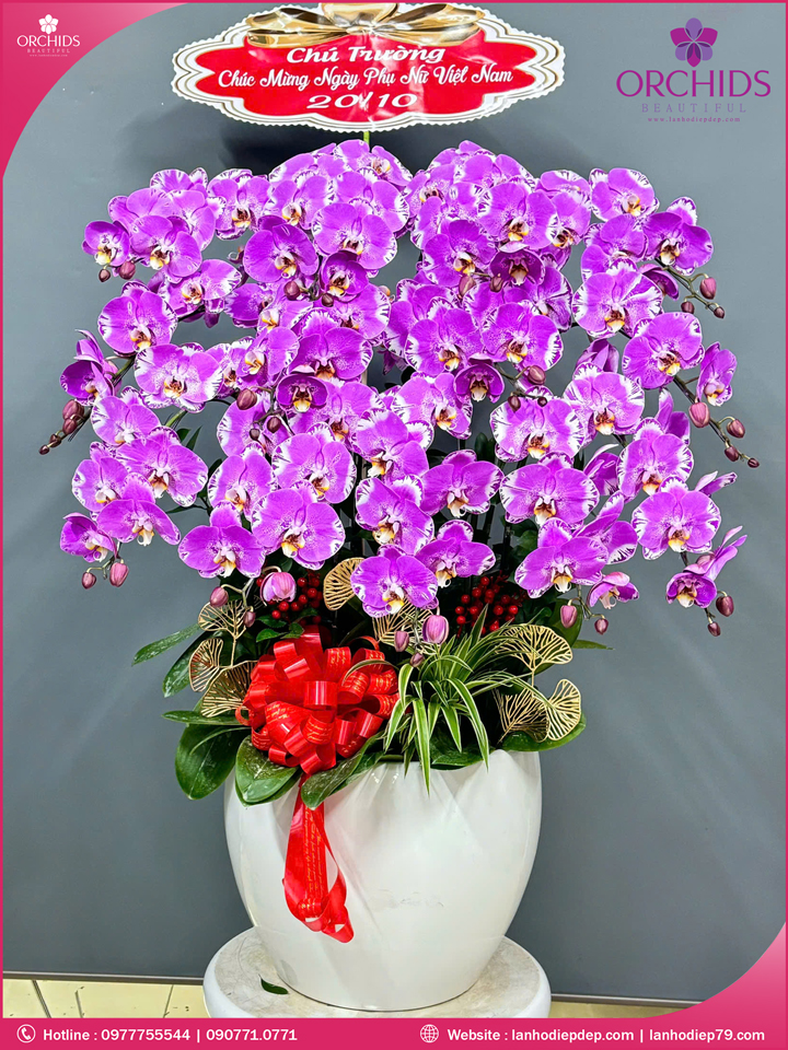 Chậu hoa lan hồ điệp độc lạ 15 cành