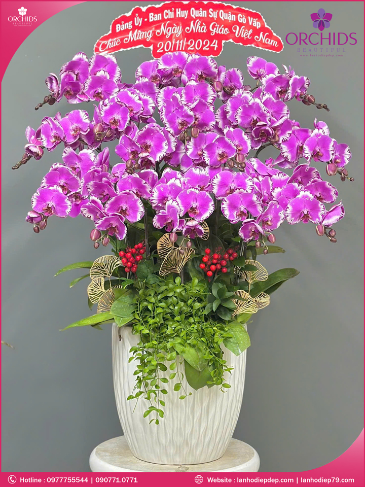 Chậu hoa lan hồ điệp độc lạ 15 cành