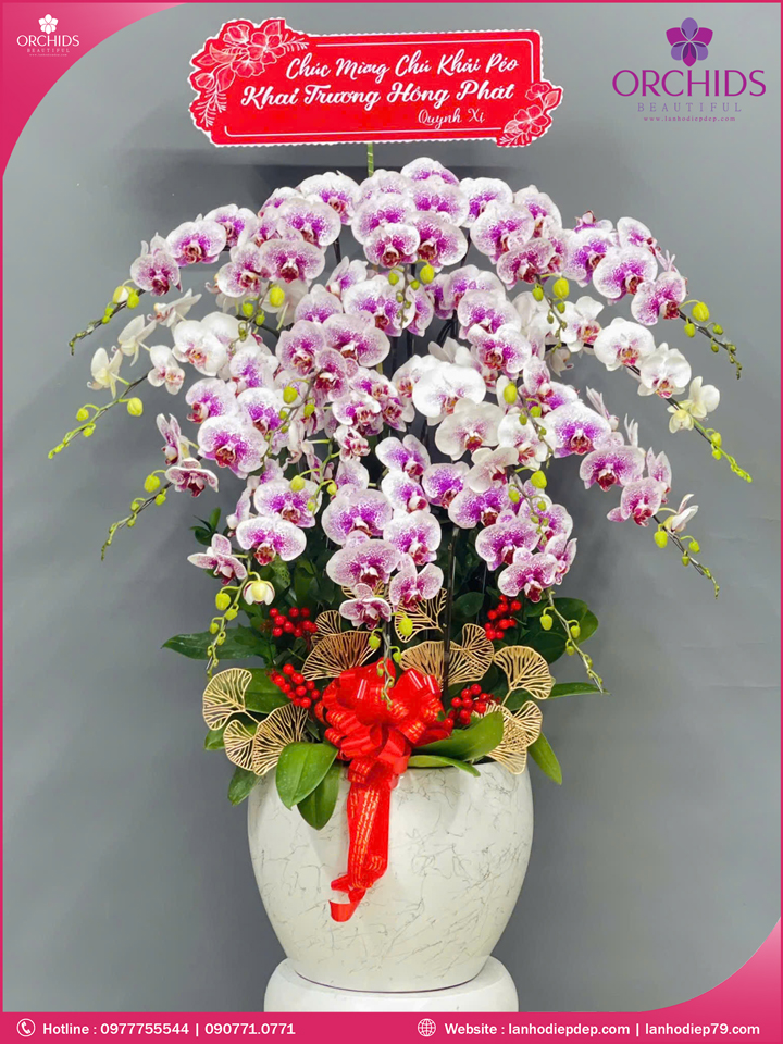 Chậu hoa lan hồ điệp độc lạ 16 cành