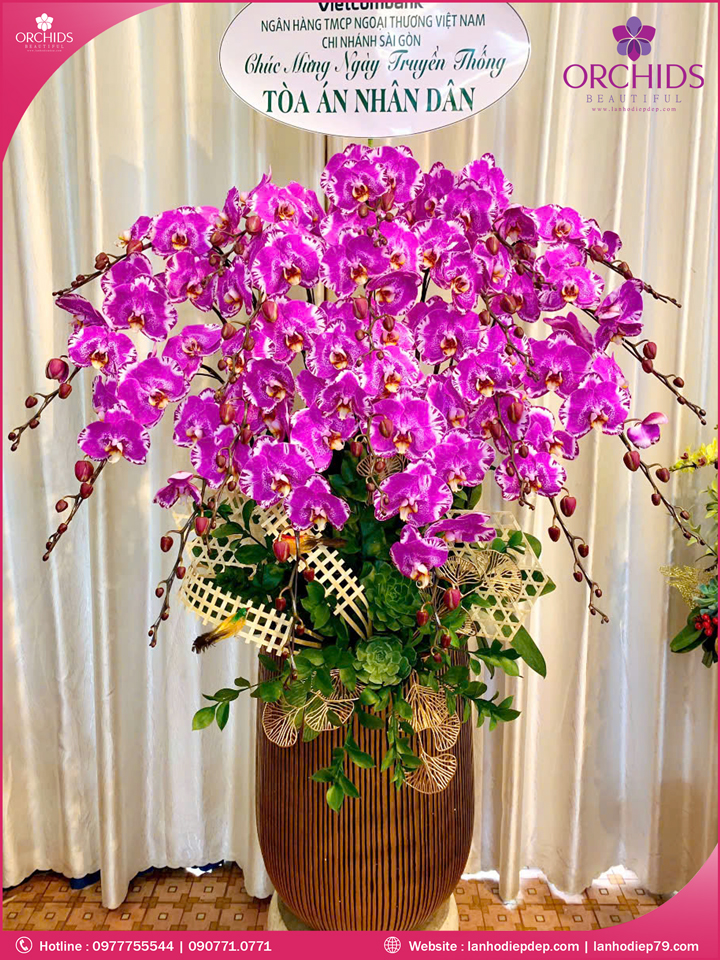 Chậu hoa lan hồ điệp độc lạ 20 cành