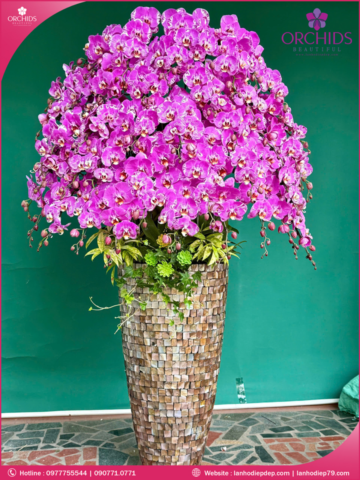 Chậu hoa lan hồ điệp độc lạ 45 cành