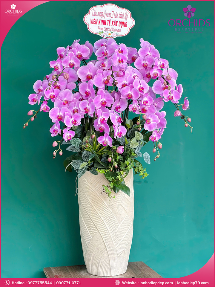 Chậu hoa lan hồ điệp hồng 10 cành