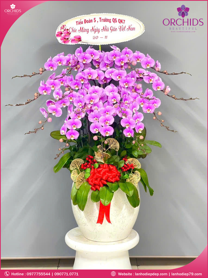 Chậu hoa lan hồ điệp hồng 15 cành