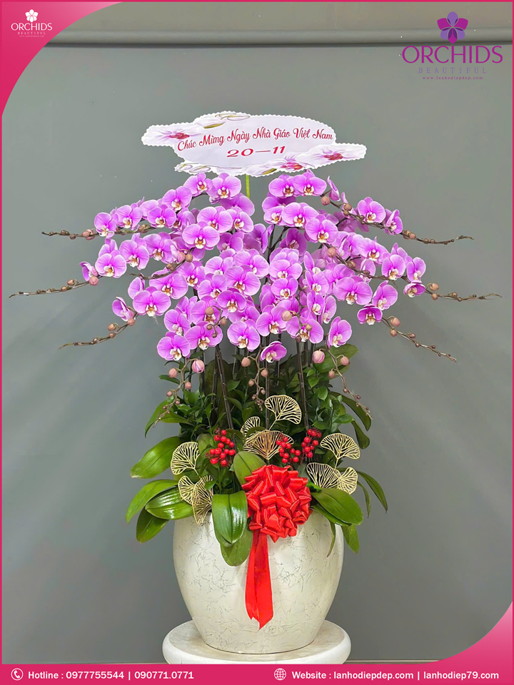 Chạu hoa lan hồ điệp hồng 15 cành