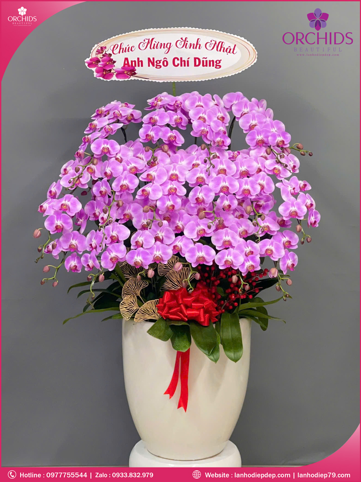 Chậu hoa lan hồ điệp hồng 16 cành