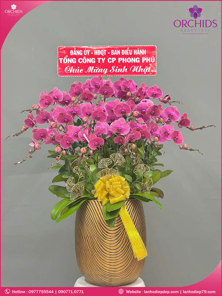 Chậu hoa lan hồ điệp hồng 18 cành