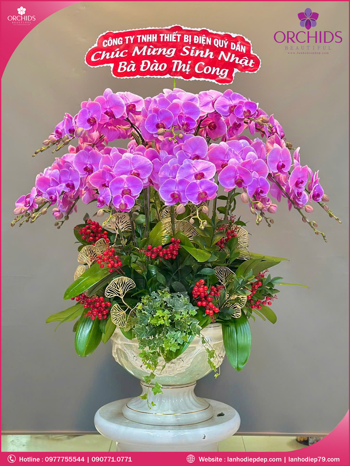 Chậu hoa lan hồ điệp hồng 25 cành
