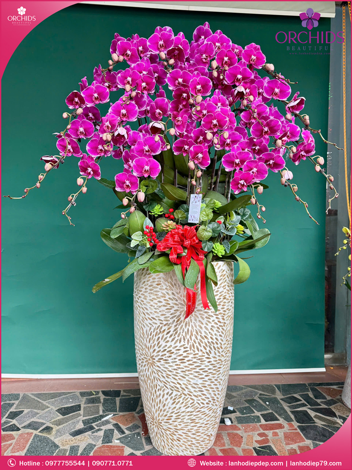 Chậu hoa lan hồ điệp tím 20 cành