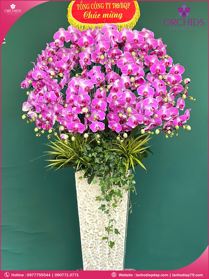 Chậu hoa lan hồ điệp tím 28 cành