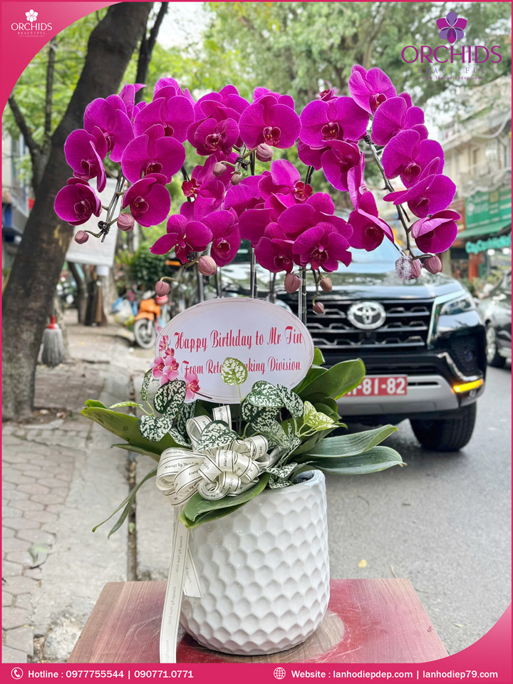 Chạu hoa lan hồ điệp tím 5 cành