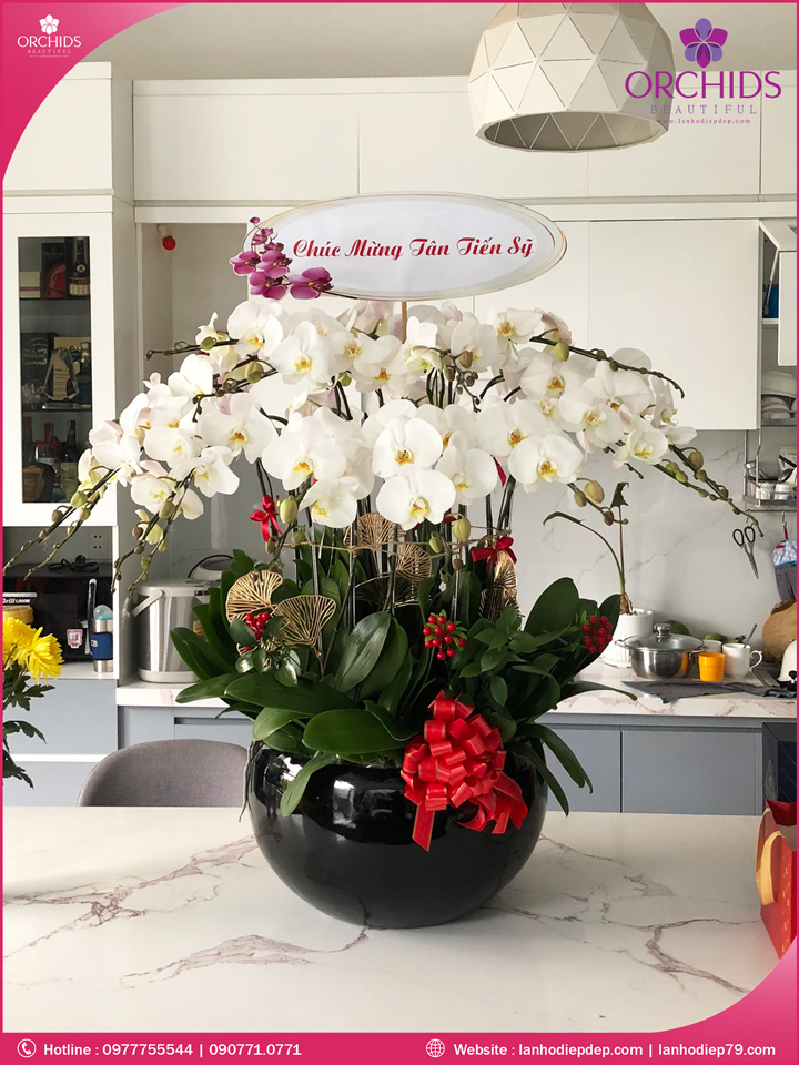 Chậu hoa lan hồ điệp trắng 20 cành