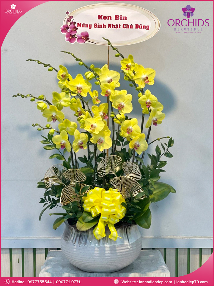 Chậu hoa lan hồ điệp vàng 10 cành