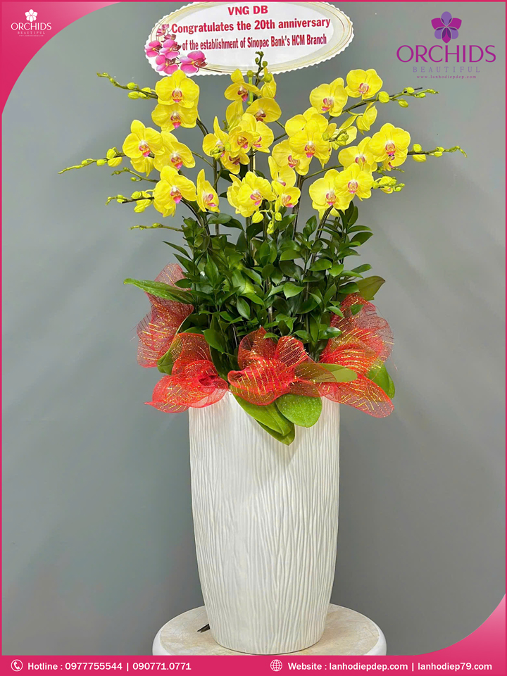 Chậu hoa lan hồ điệp vàng 10 cành