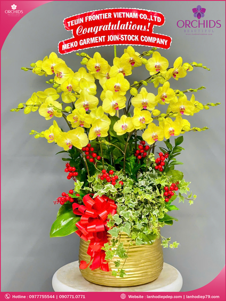 Chậu hoa lan hồ điệp vàng 10 cành