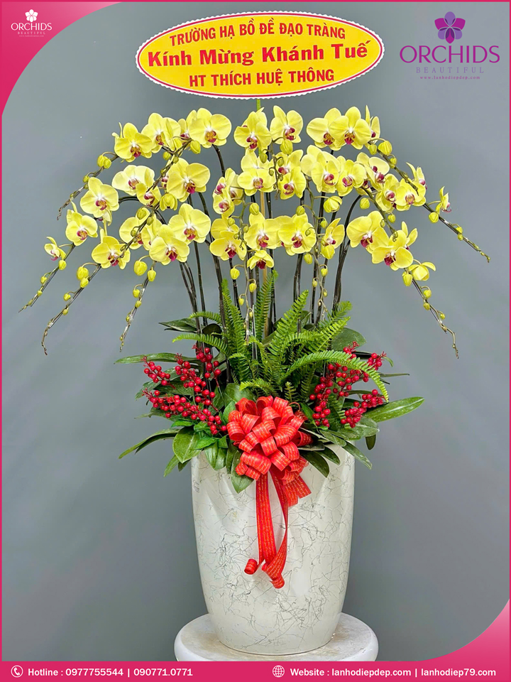 Chậu hoa lan hồ điệp vàng 15 cành