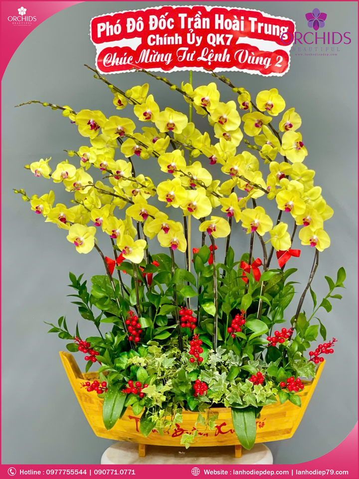 Chậu hoa lan hồ điệp vàng 15 cành