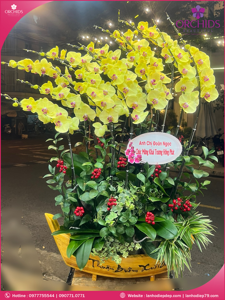 Chậu hoa lan hồ điệp vàng 15 cành