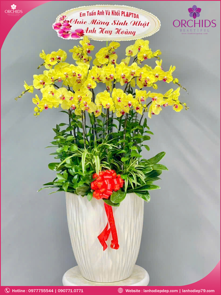 Chậu hoa lan hồ điệp vàng 15 cành