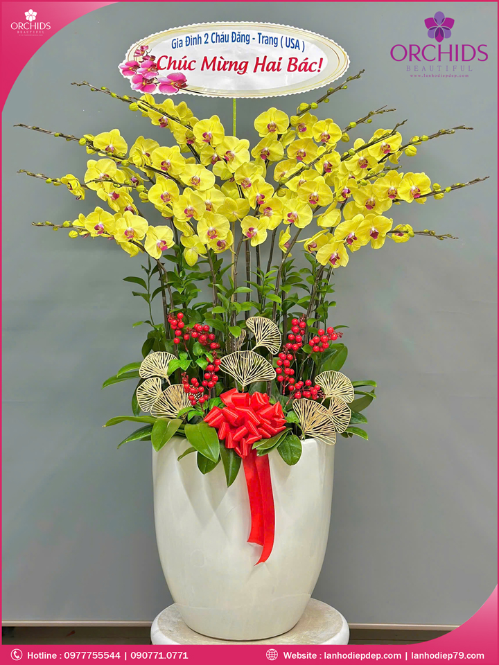 Chậu hoa lan hồ điệp vàng 15 cành