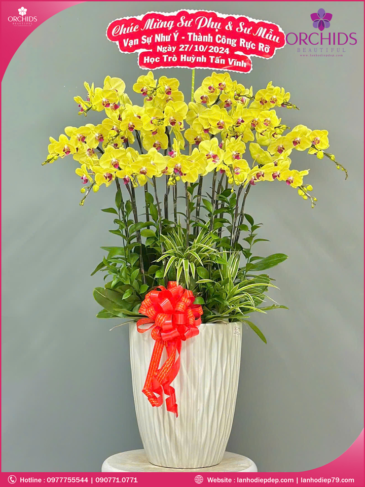 Chậu hoa lan hồ điệp vàng 16 cành