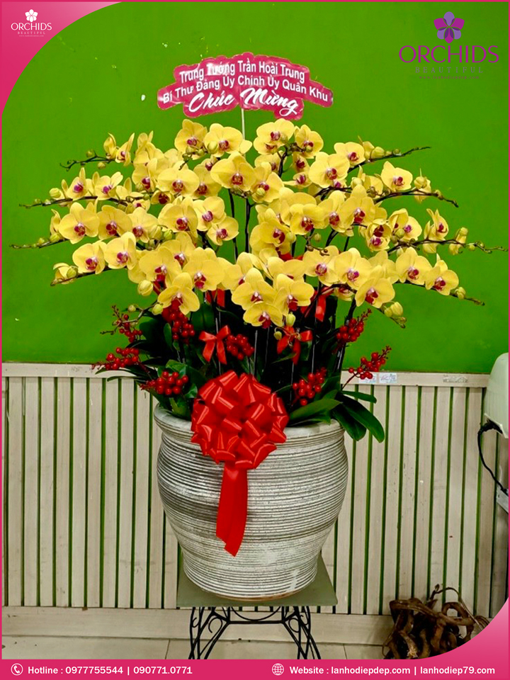 Chậu hoa lan hồ điệp vàng 20 cành