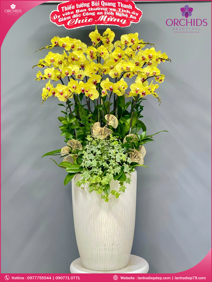 Chậu hoa lan hồ điệp vàng 20 cành