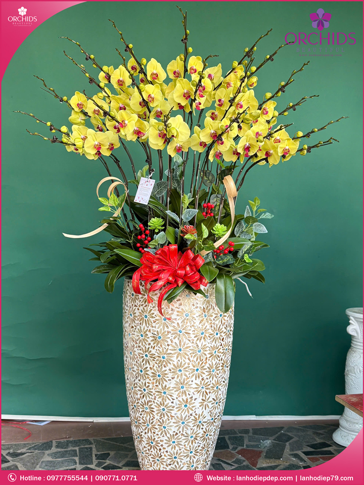 Chậu hoa lan hồ điệp vàng 20 cành