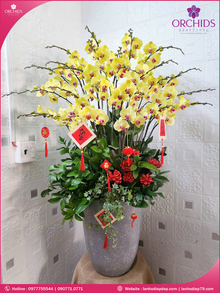 Chậu hoa lan hồ điệp vàng 20 cành